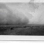 El Hadem : Après les pluies - Vent de sable (Libye avril 1942)