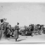 Troupes bédouines vichystes (Plateau de Palmyre, juin 1941)